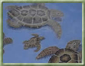 Piscina com piso em mosaico de tartarugas